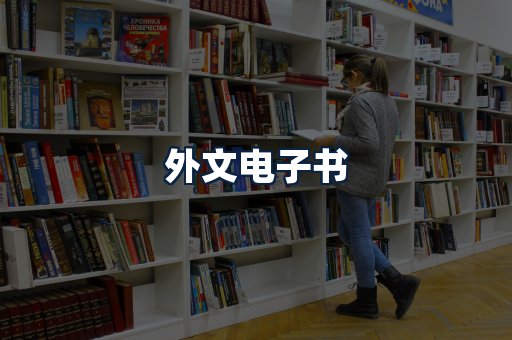外文电子书